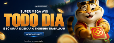 Suporte Login